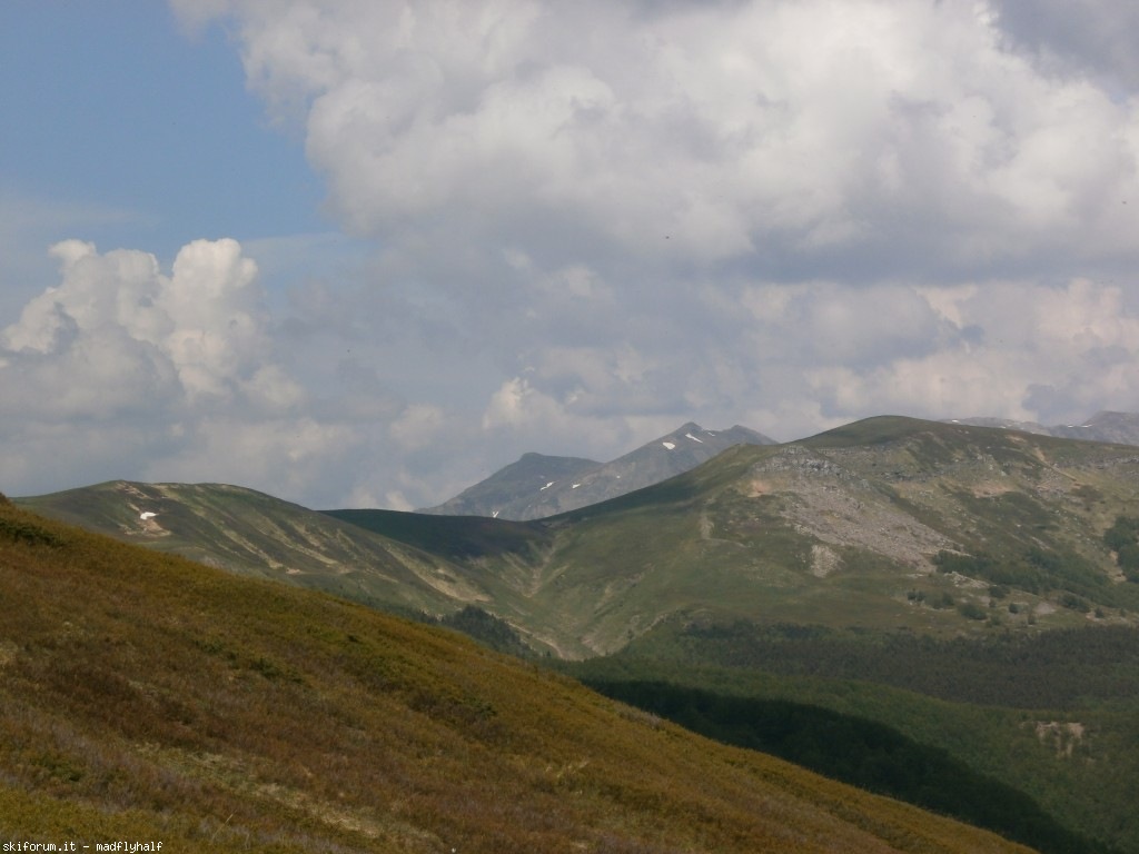 102626-spigolino-scaffaiolo-p6080794.jpg
