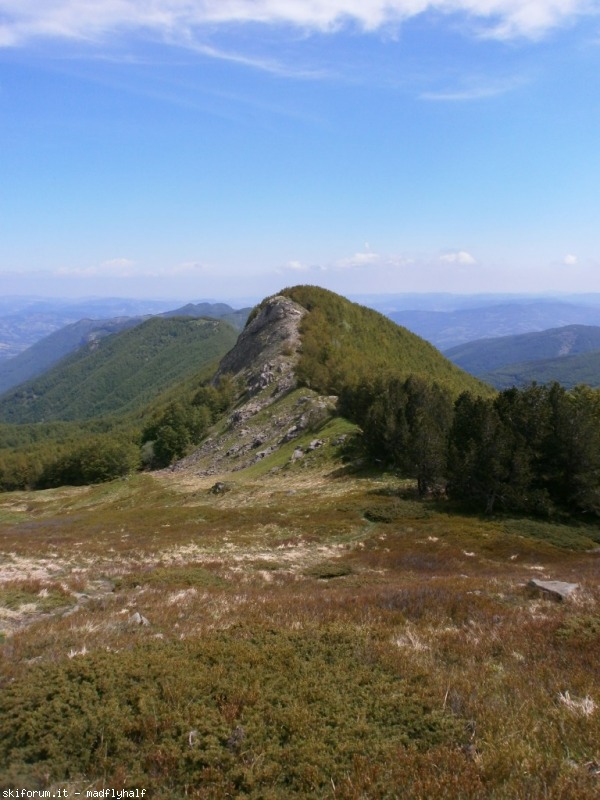 102627-spigolino-scaffaiolo-p6080796.jpg