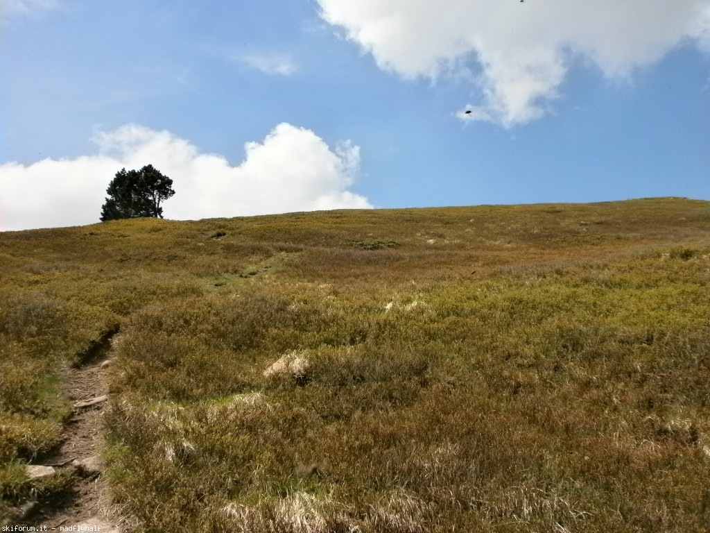 102629-spigolino-scaffaiolo02-p6080797.jpg