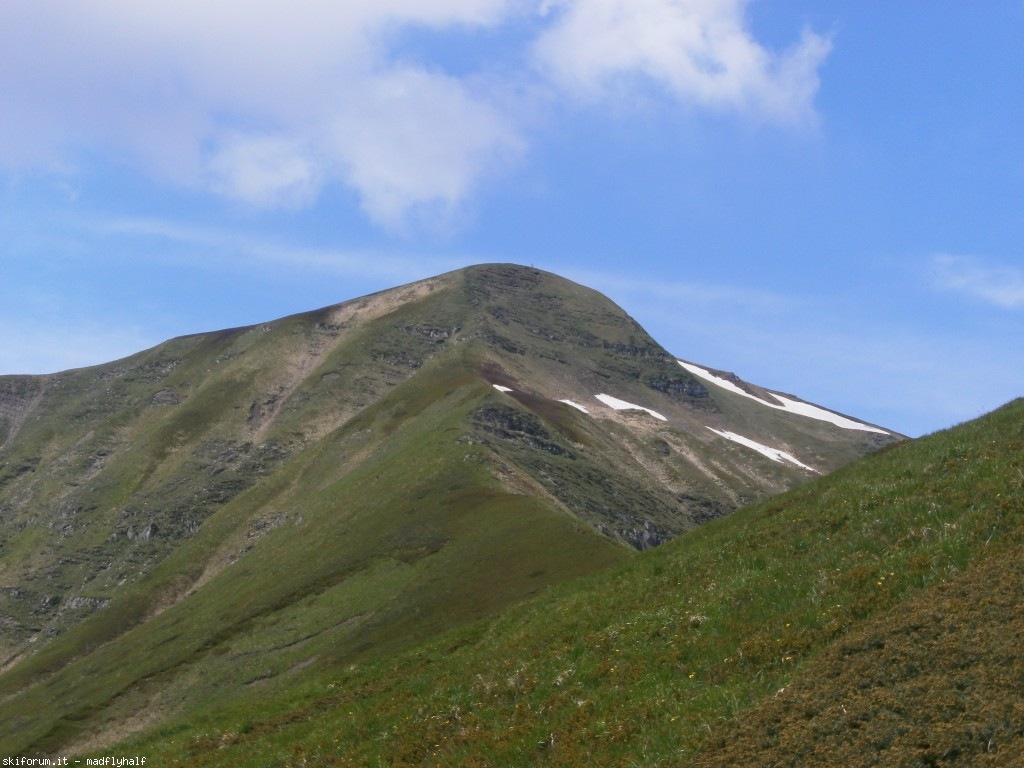 102630-spigolino-scaffaiolo02-p6080799.jpg