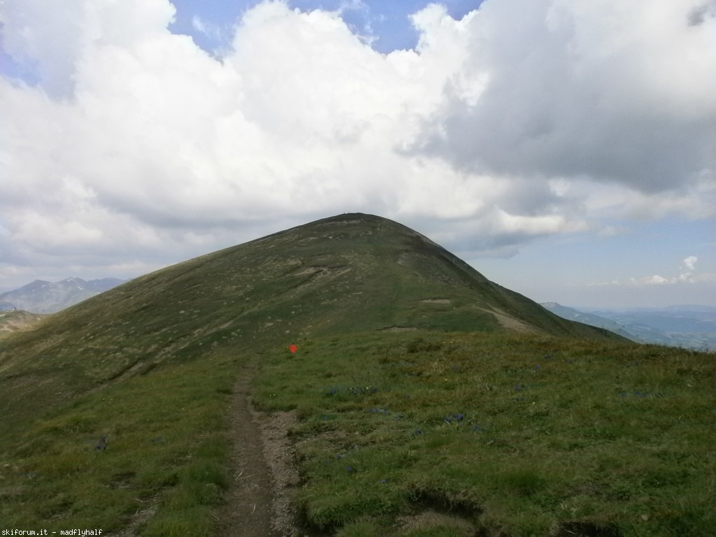 102639-spigolino-scaffaiolo02-p6080835.jpg