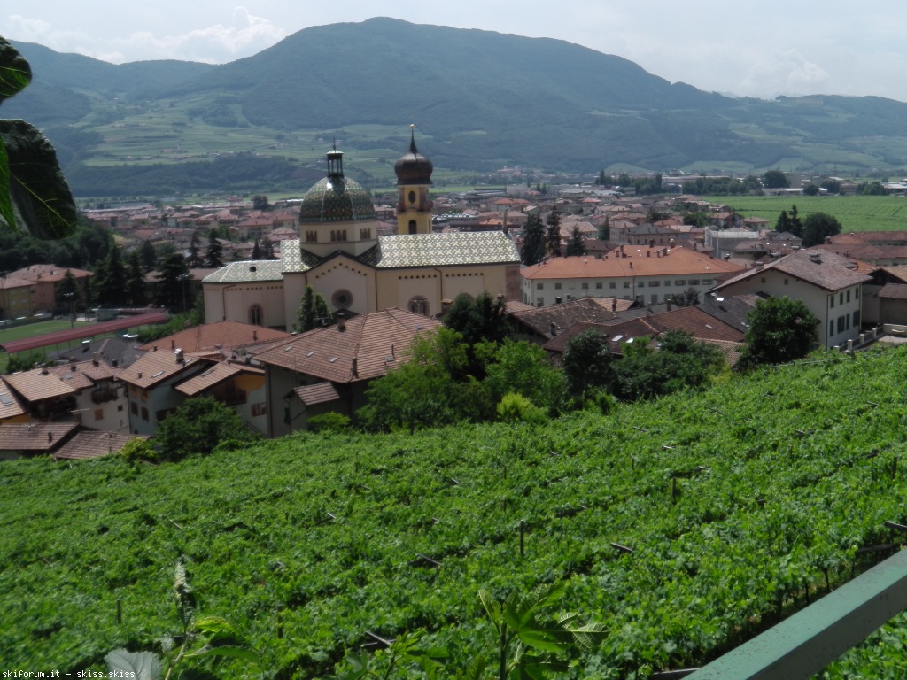 103194-mezzoocorona-monte-imga0319.jpg