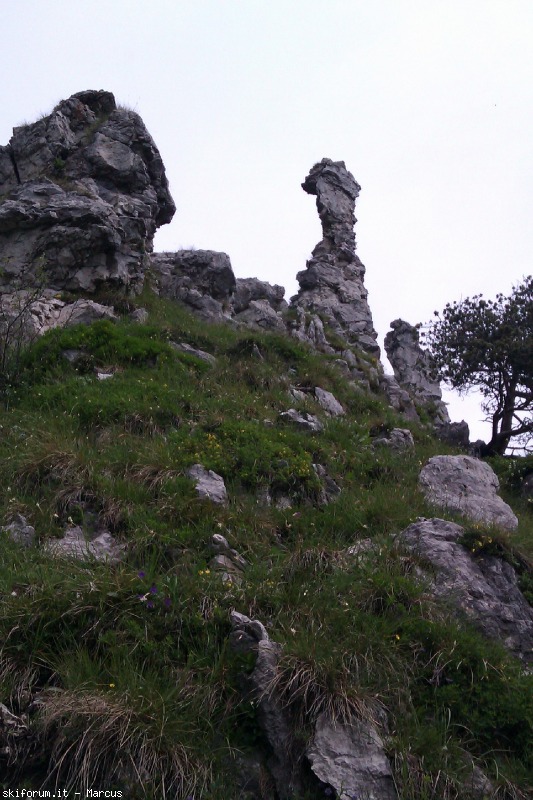 103394-rifugio-rosalba-imag1563.jpg