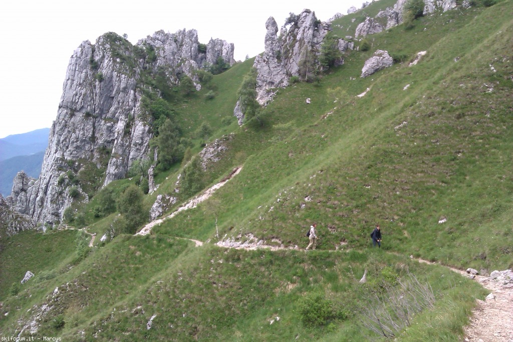 103398-imag1569.jpg