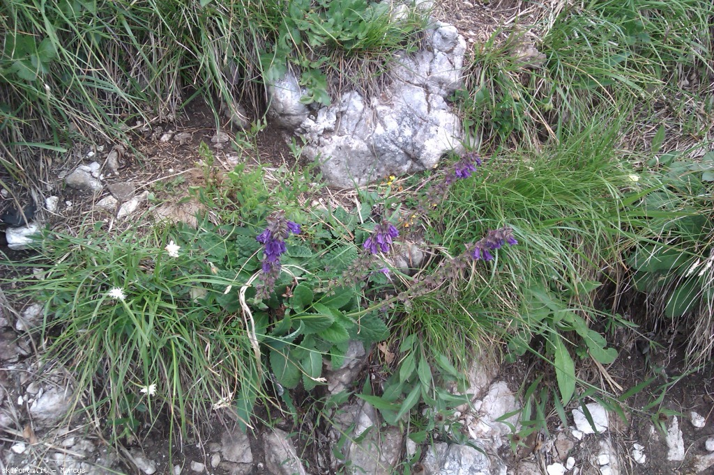 103422-imag1628.jpg