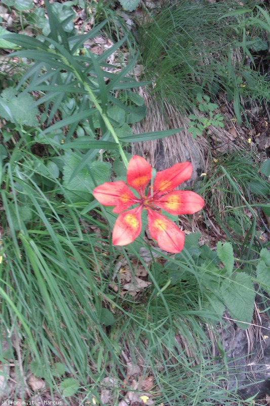 103424-imag1638.jpg