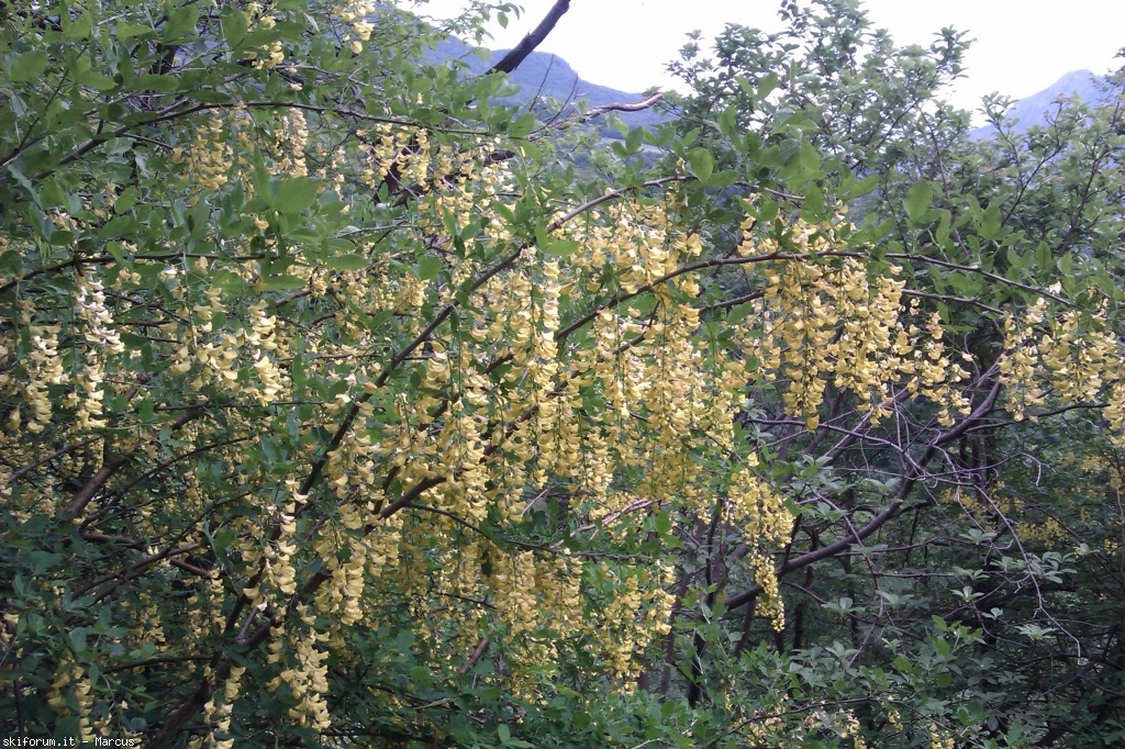 103425-imag1641.jpg