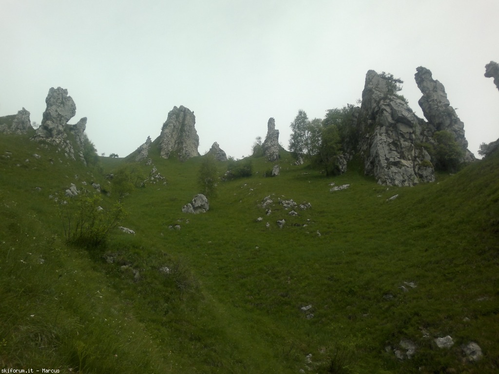 103431-290620131846.jpg