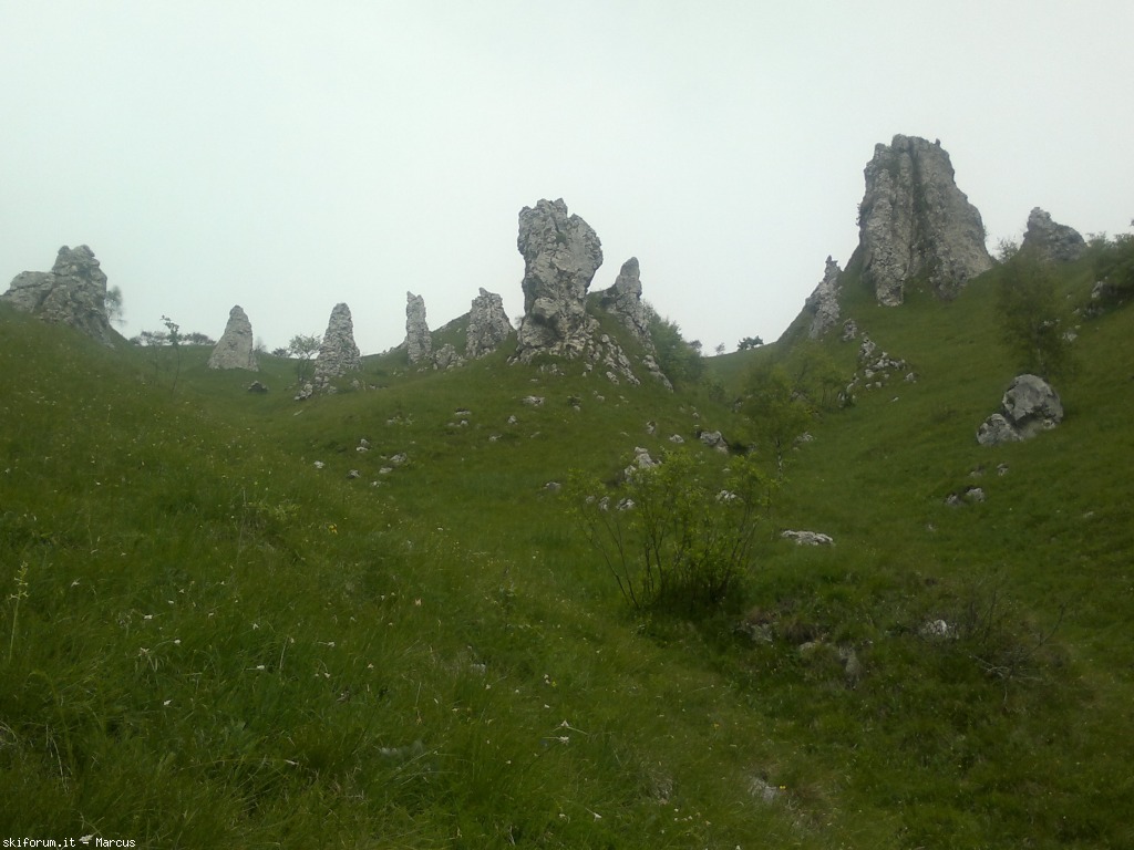 103432-290620131847.jpg