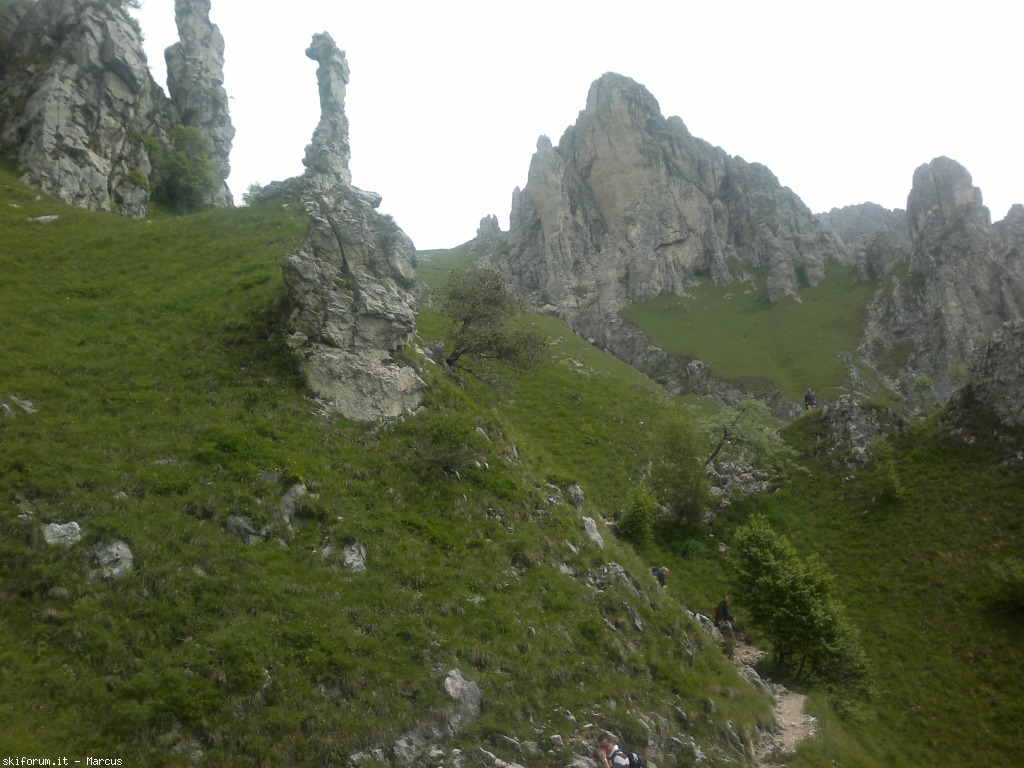 103433-290620131848.jpg