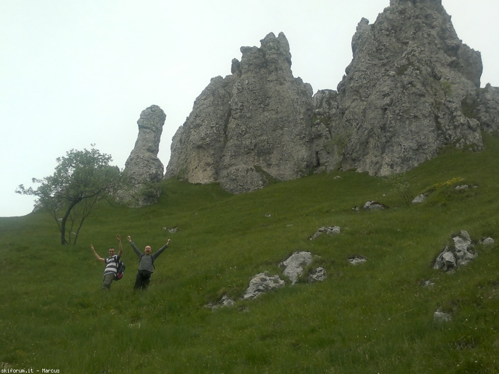 103435-290620131851.jpg