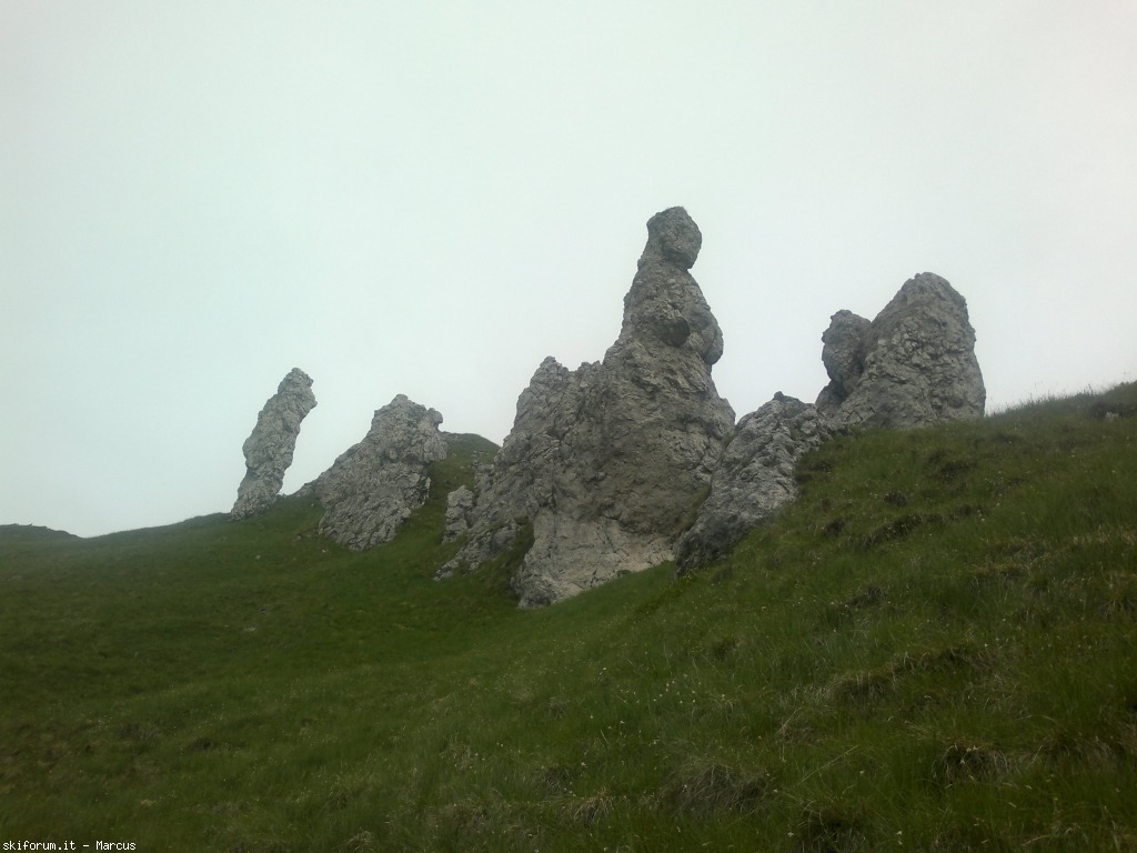 103436-290620131852.jpg
