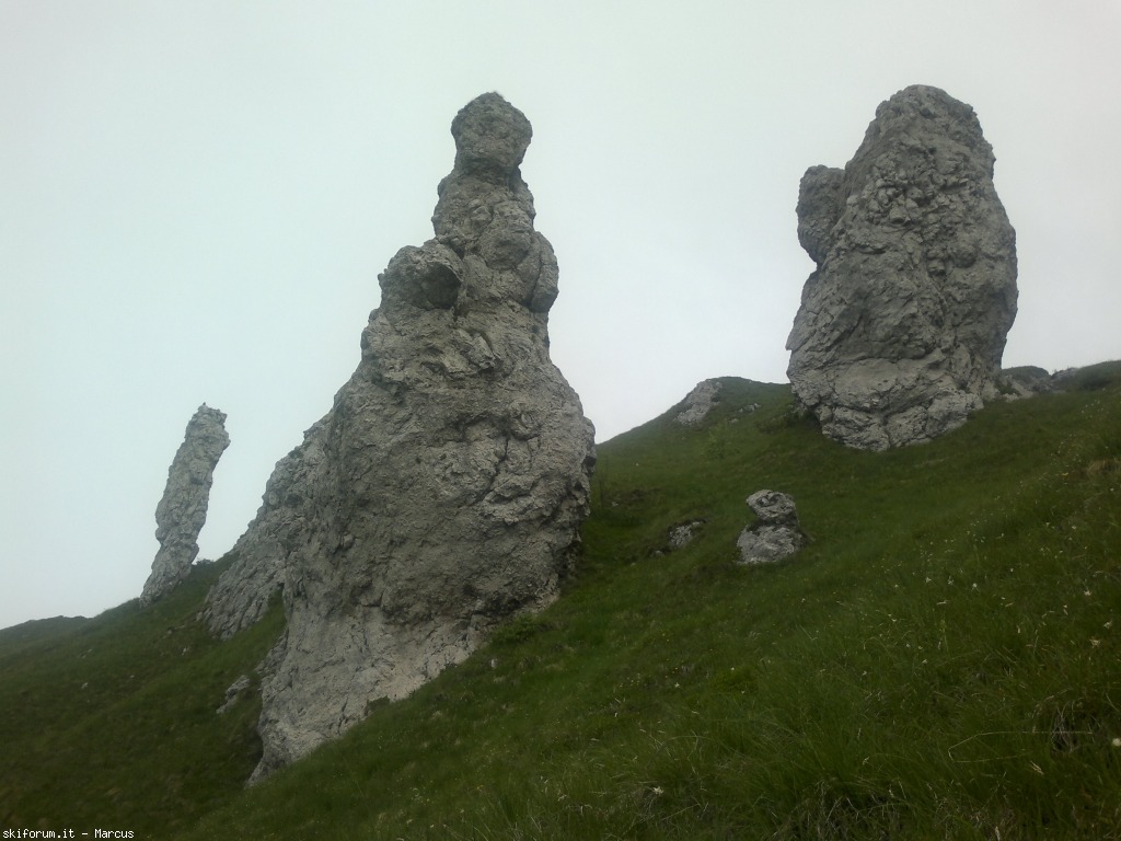 103440-290620131856.jpg