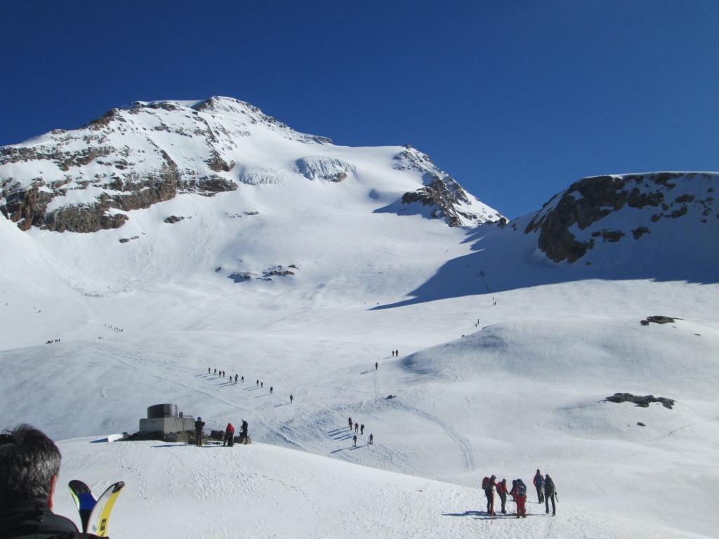 103553-img0855.jpg
