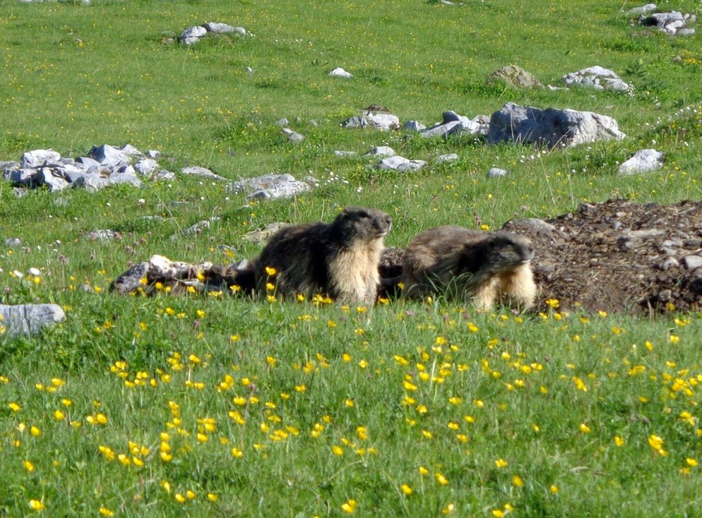104547-dsc00303.jpg