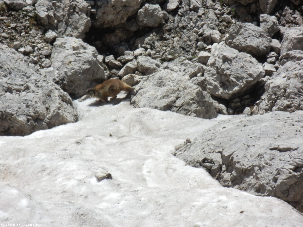 104755-ferrata-nuvolau03-p8010096.jpg