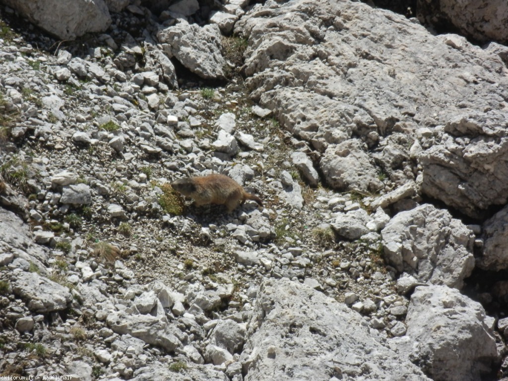 104756-ferrata-nuvolau03-p8010097.jpg