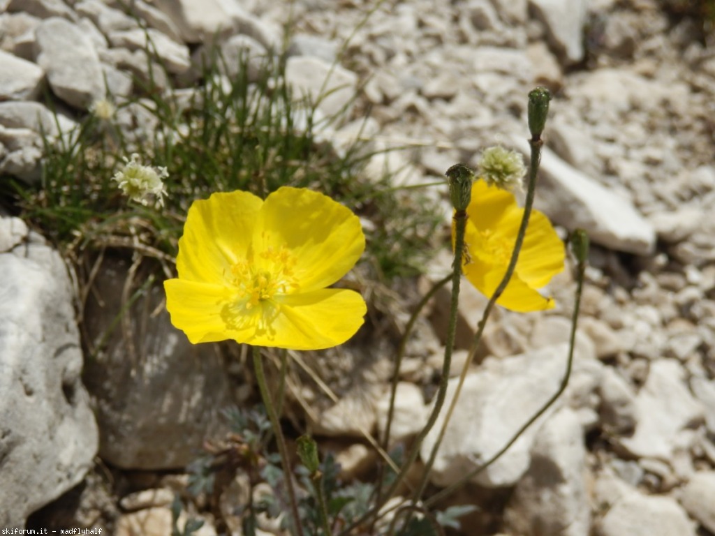 104786-paroramigiau-p8010121.jpg