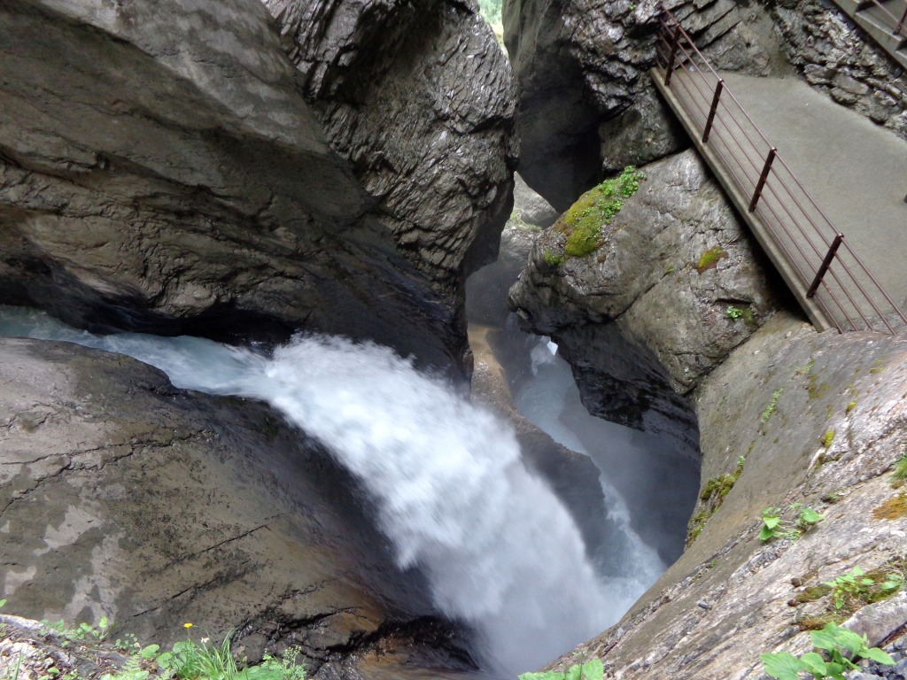 105161-dsc00484.jpg