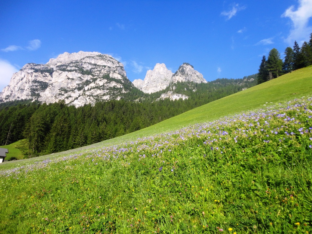 105519-sassongher-dsc06839.jpg