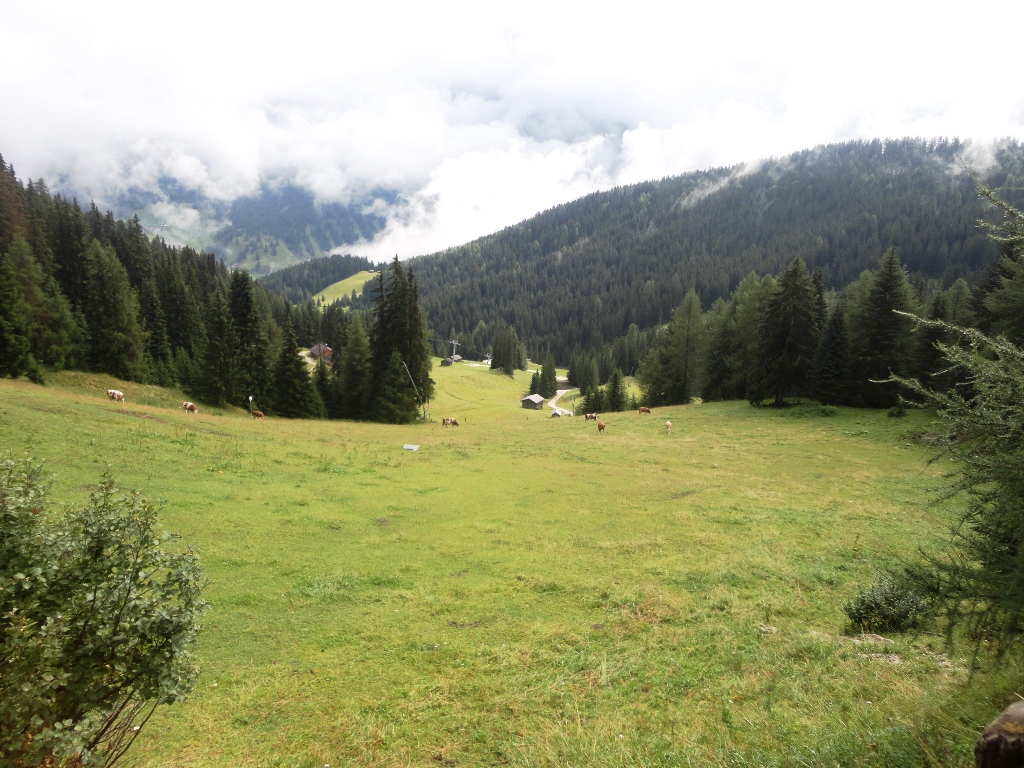 105553-val-badia-dsc06918.jpg