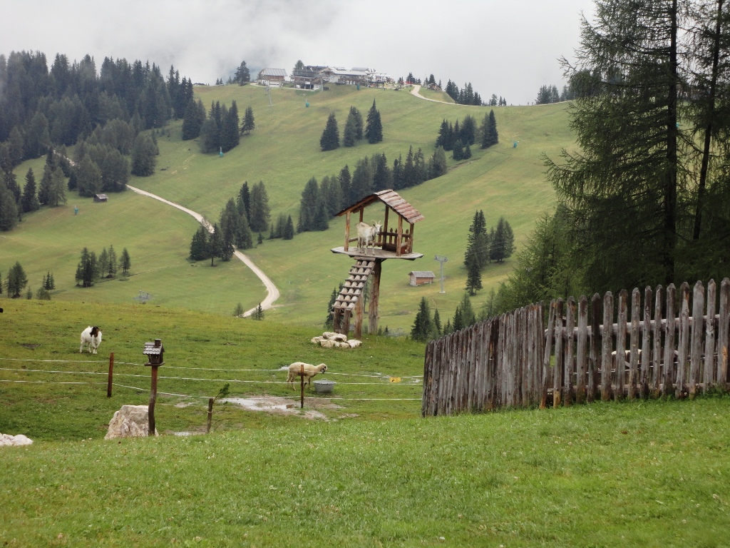 105554-val-badia-dsc06919.jpg