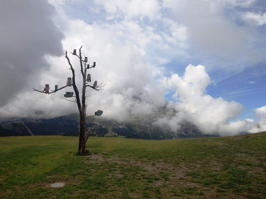 105558-val-badia-dsc06923.jpg