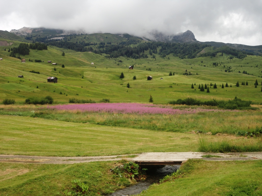 105560-val-badia-dsc06925.jpg