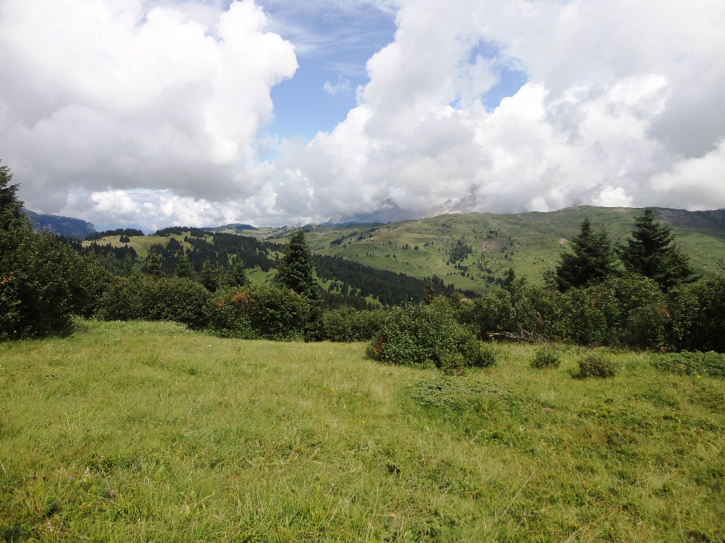 105563-val-badia-dsc06930.jpg
