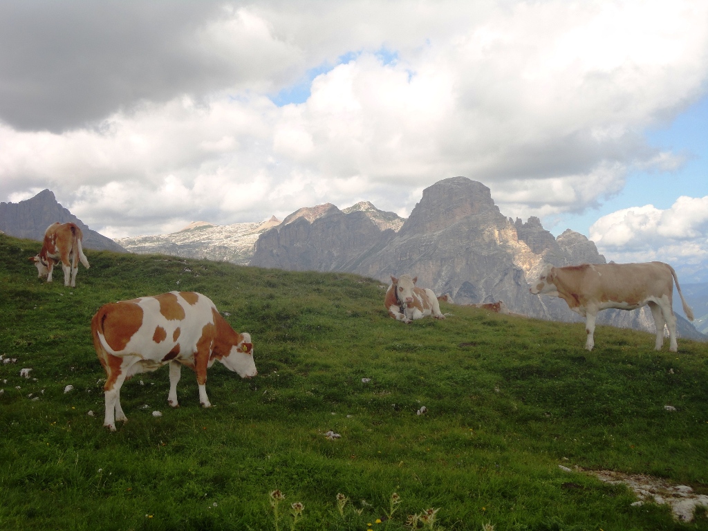 105605-sella-dsc07001.jpg