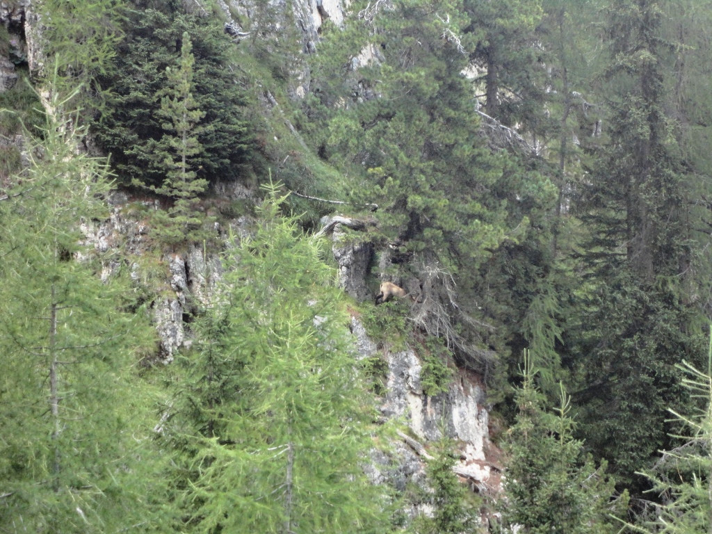 105610-sella-dsc07006.jpg