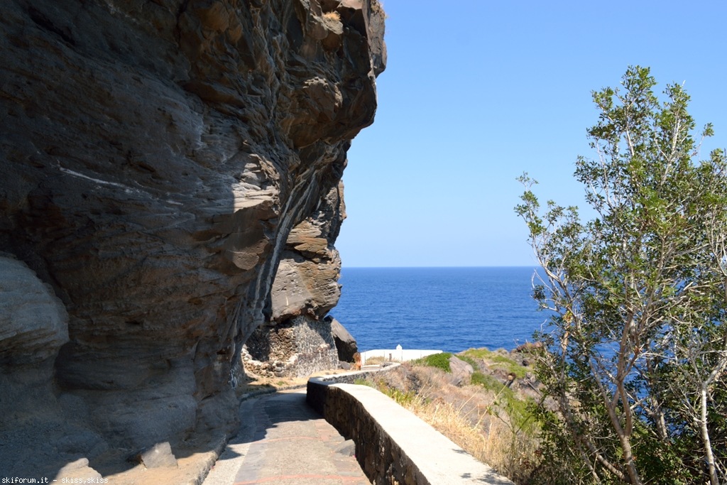105753-spiaggia-di-scariomalfasalina-dsc0351742.jpg