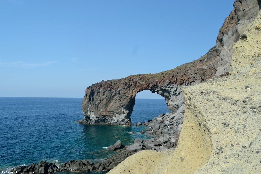 105770-pollara-dsc0064948.jpg