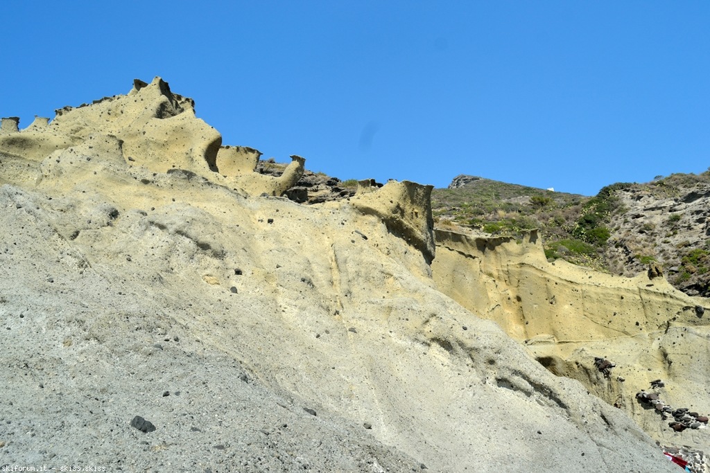 105772-pollara-dsc0067951.jpg