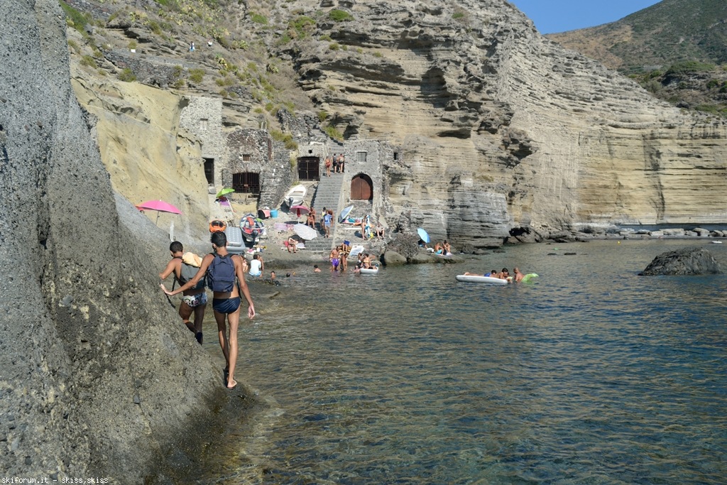 105773-pollara-dsc0070952.jpg