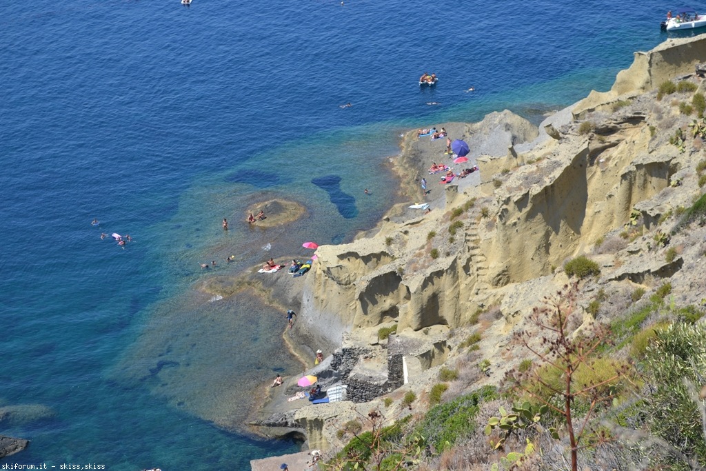 105776-pollara-dsc0100959.jpg