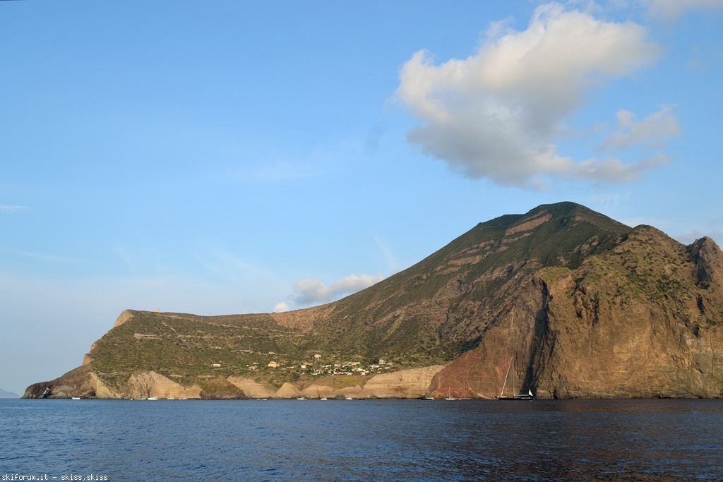 105779-pollara-dsc0991915.jpg
