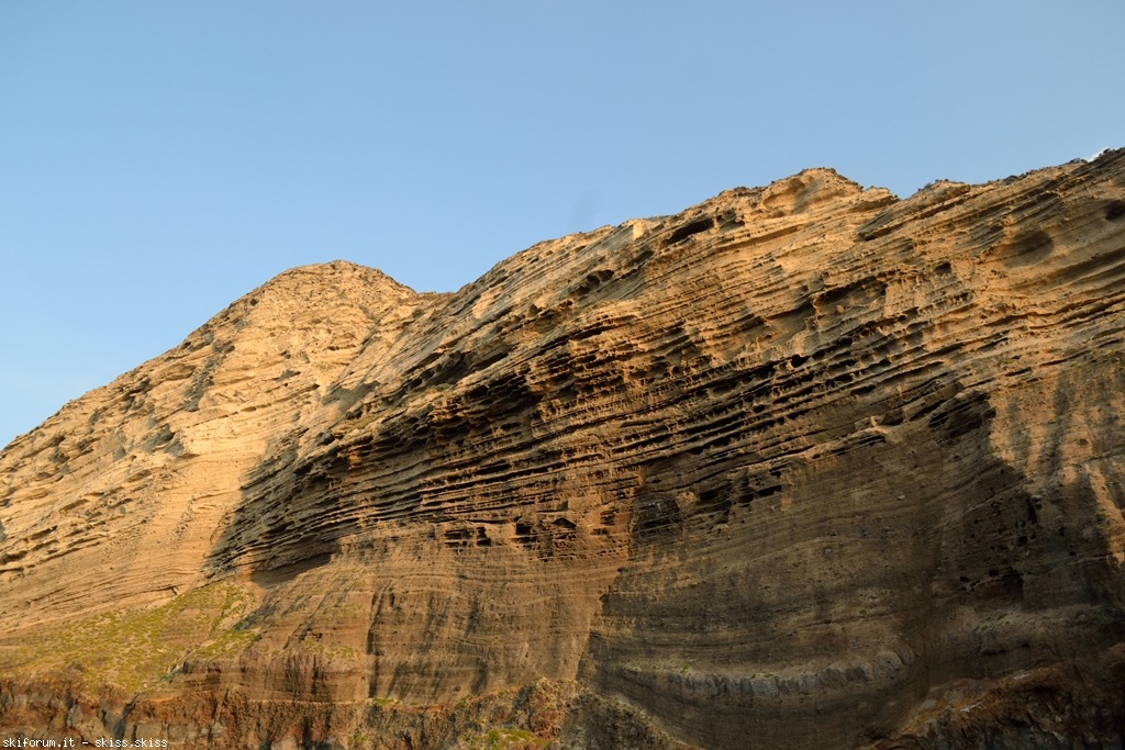 105782-pollara-dsc1010919.jpg