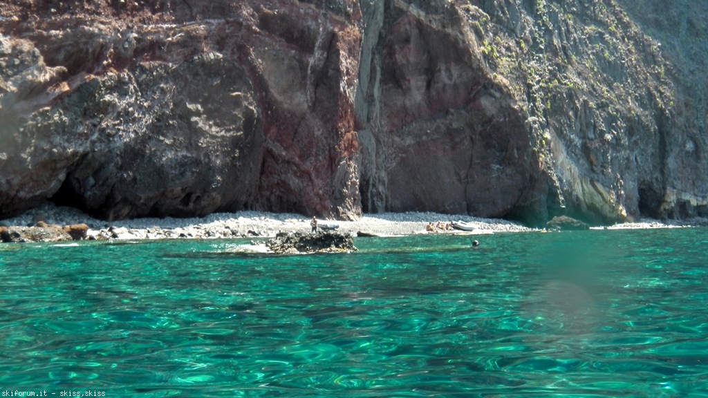 105784-pollara-imga03131017.jpg