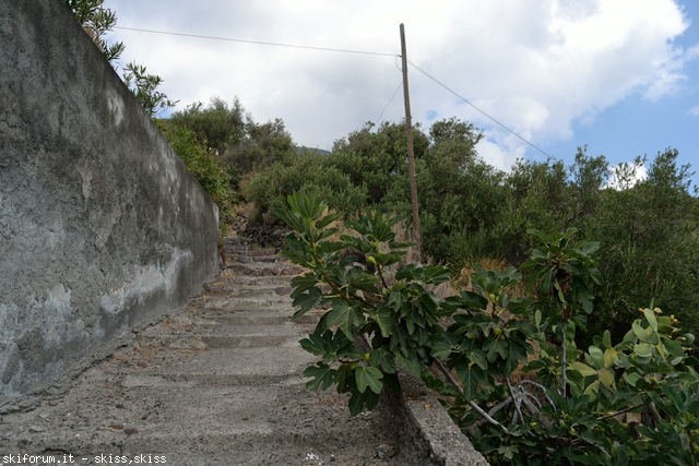 105866-salinalingua-e-santa-marina-dsc0143967.jpg