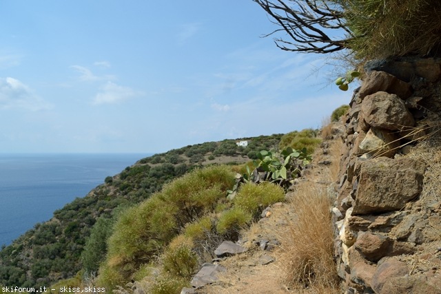 105870-salinalingua-e-santa-marina-dsc0166976.jpg