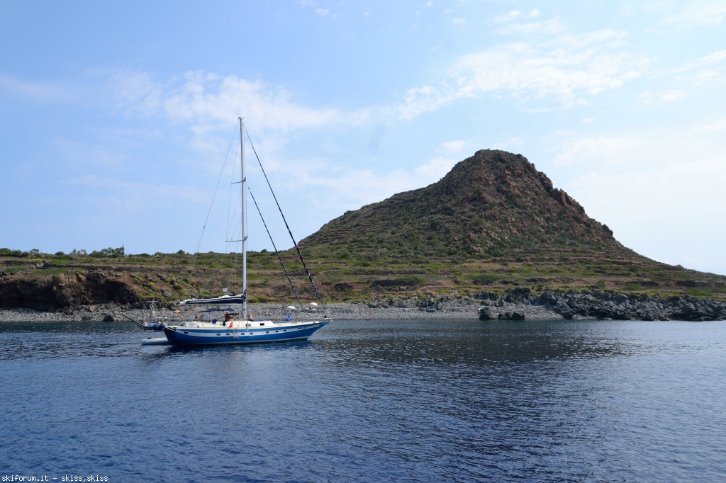 105901-filicudidelfini-tartaruga-dsc0844862.jpg