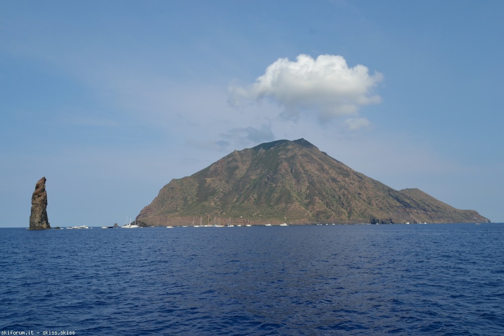 105902-filicudidelfini-tartaruga-dsc0935909.jpg