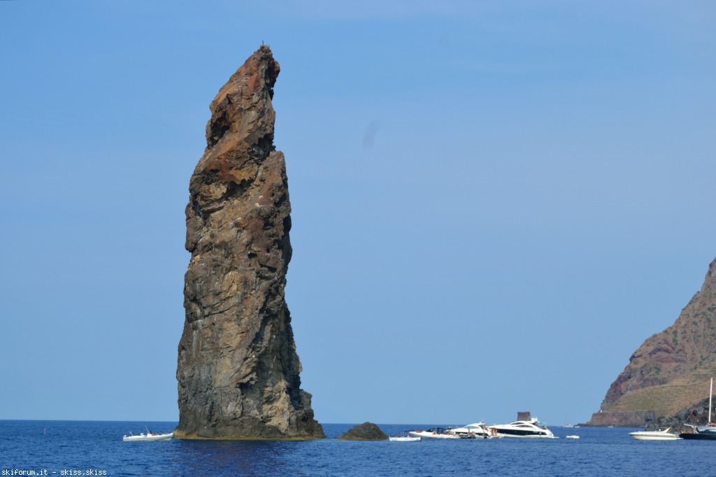 105903-filicudidelfini-tartaruga-dsc0936907.jpg