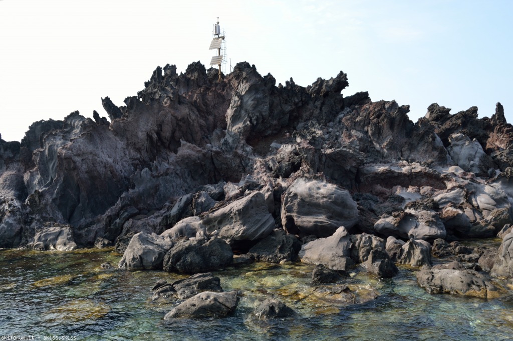 105906-filicudidelfini-tartaruga-dsc0946911.jpg