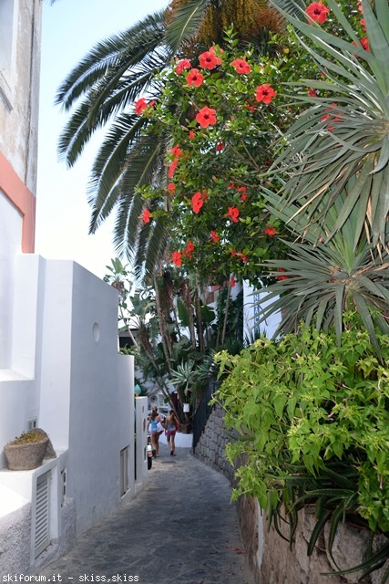 105937-panarea-e-basiluzzo-dsc0598799.jpg