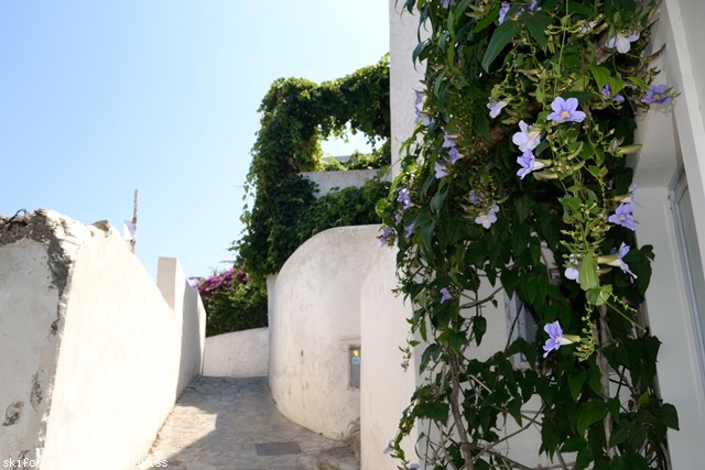 105939-panarea-e-basiluzzo-dsc0601801.jpg