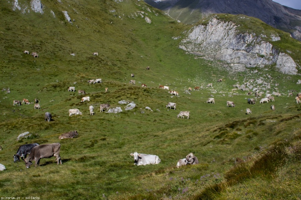 106218-devero-formazza-2-img0700.jpg