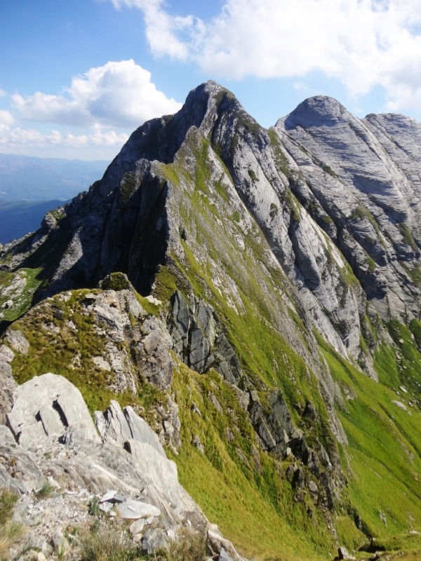 106414-apuane-dsc07122.jpg