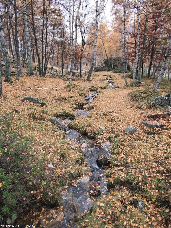 109055-mombarone-autunno-pb013217.jpg